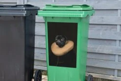 Sticker Conteneur Vieux MaîtresIllustrations De Noël - Vieux Maître Portrait D'un Carlin En Tenue Médiévale -Jingle Bells Boutique 1200x800 1520