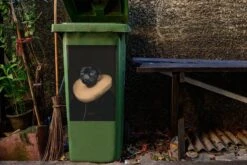 Sticker Conteneur Vieux MaîtresIllustrations De Noël - Vieux Maître Portrait D'un Carlin En Tenue Médiévale -Jingle Bells Boutique 1200x800 1522