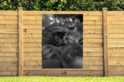 Décoration Murale Extérieur Chatons Endormis Et Maman Chat Entre Les Décorations De Noël - Noir Et Blanc - 120x160 Cm - Toile Jardin - Affiche Extérieure -Jingle Bells Boutique 1200x800 1540