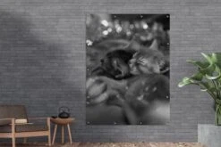 Décoration Murale Extérieur Chatons Endormis Et Maman Chat Entre Les Décorations De Noël - Noir Et Blanc - 120x160 Cm - Toile Jardin - Affiche Extérieure -Jingle Bells Boutique 1200x800 1542