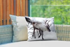 Coussins D'extérieur - Jardin - Une Photo De Noël De Rennes Le Long Des Routes Du Kilpisjarvi Finlandais - 50x30 Cm -Jingle Bells Boutique 1200x800 1561