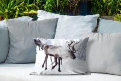 Coussins D'extérieur - Jardin - Une Photo De Noël De Rennes Le Long Des Routes Du Kilpisjarvi Finlandais - 50x30 Cm -Jingle Bells Boutique 1200x800 1562