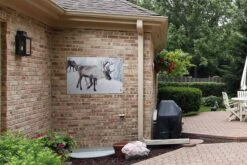 Une Photo De Noël De Rennes Sur Les Routes Du Jardin Finlandais Kilpisjarvi Affiche 90x60 Cm - Toile De Jardin / Toile D'extérieur / Peintures D'extérieur (décoration De Jardin) -Jingle Bells Boutique 1200x800 1592