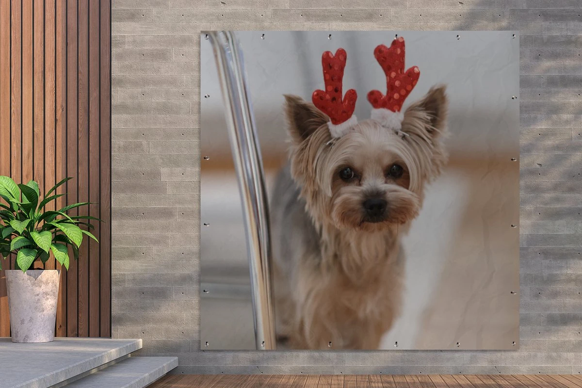 Affiche De Jardin Yorkshire Avec Un Accessoire De Noël - 200x200 Cm - Toile Jardin - Affiche Extérieure 4 Affiche De Jardin Yorkshire Avec Un Accessoire De Noël - 200x200 Cm - Toile Jardin - Affiche Extérieure – Image 2