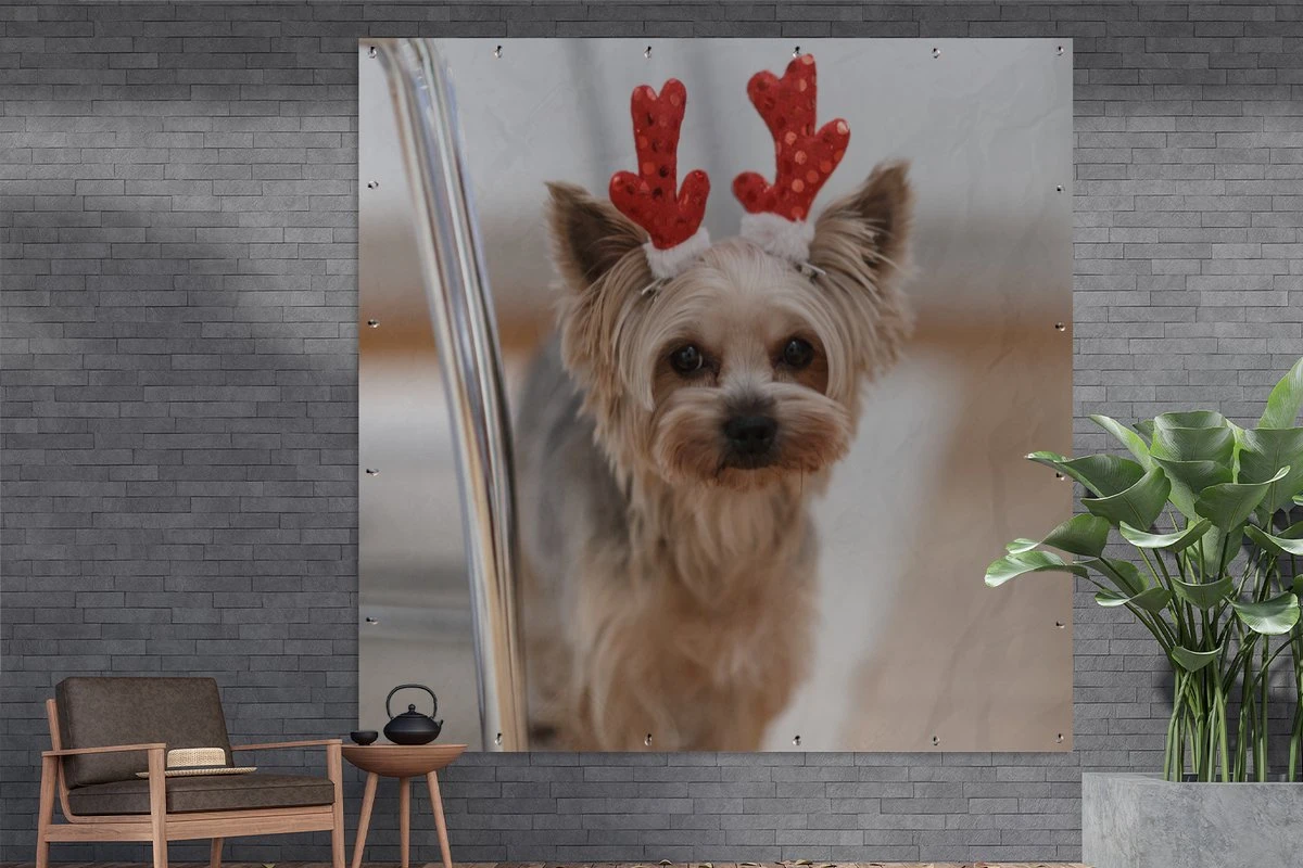 Affiche De Jardin Yorkshire Avec Un Accessoire De Noël - 200x200 Cm - Toile Jardin - Affiche Extérieure 5 Affiche De Jardin Yorkshire Avec Un Accessoire De Noël - 200x200 Cm - Toile Jardin - Affiche Extérieure – Image 3