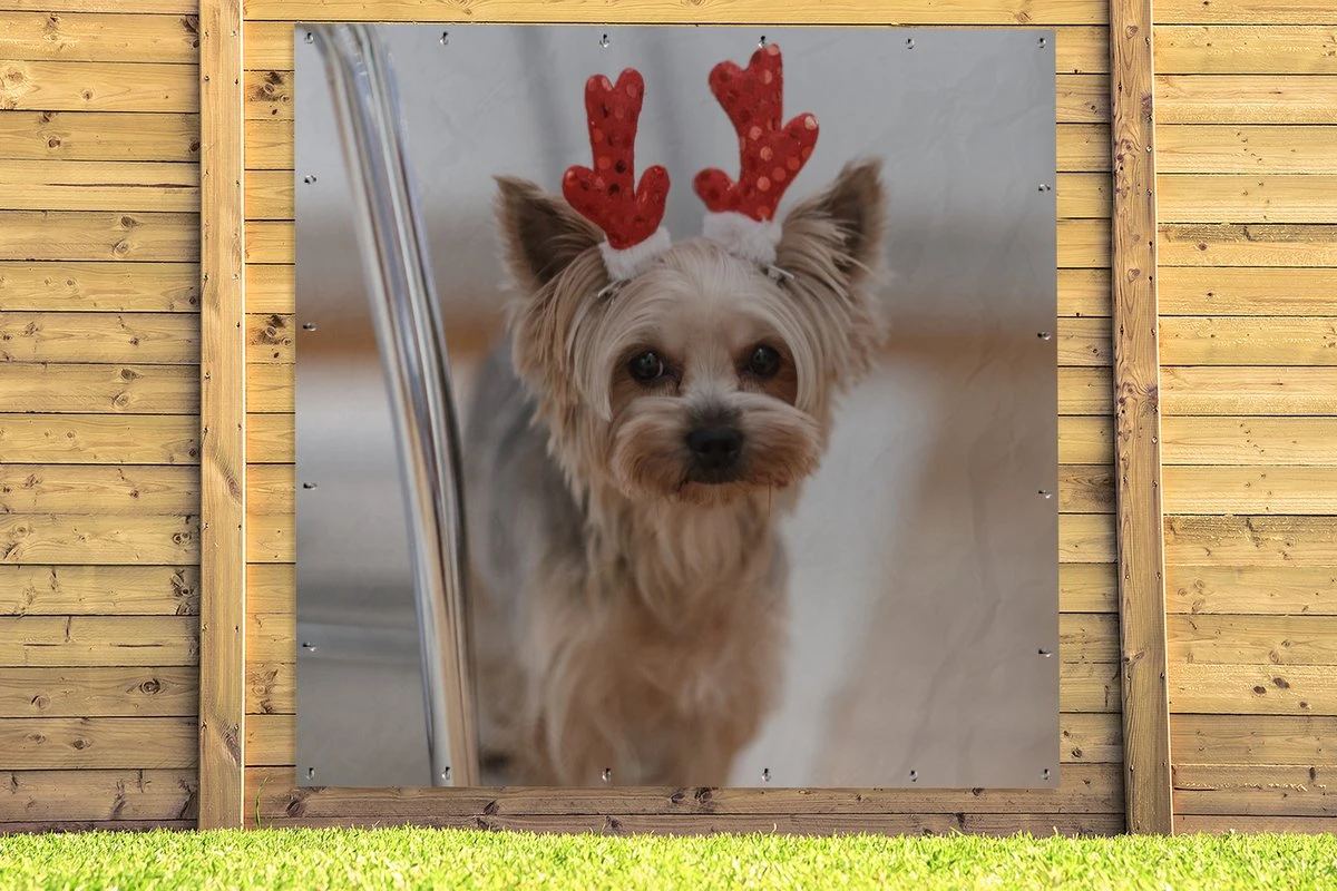 Affiche De Jardin Yorkshire Avec Un Accessoire De Noël - 200x200 Cm - Toile Jardin - Affiche Extérieure 8 Affiche De Jardin Yorkshire Avec Un Accessoire De Noël - 200x200 Cm - Toile Jardin - Affiche Extérieure – Image 6