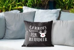 Coussins D'extérieur - Jardin - Citation Carottes Pour Renne Décoration Murale Noël Noir - 40x40 Cm -Jingle Bells Boutique 1200x800 1976
