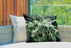 Coussins D'extérieur - Jardin - Gros Plan D'un Sapin De Noël Près D'une Forêt Aux États-Unis - 60x40 Cm -Jingle Bells Boutique 1200x800 2039