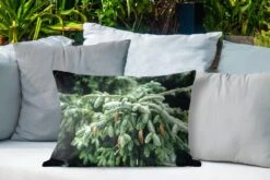 Coussins D'extérieur - Jardin - Gros Plan D'un Sapin De Noël Près D'une Forêt Aux États-Unis - 60x40 Cm -Jingle Bells Boutique 1200x800 2040