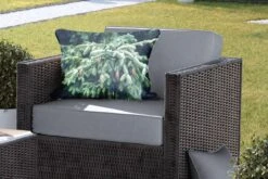 Coussins D'extérieur - Jardin - Gros Plan D'un Sapin De Noël Près D'une Forêt Aux États-Unis - 60x40 Cm -Jingle Bells Boutique 1200x800 2041