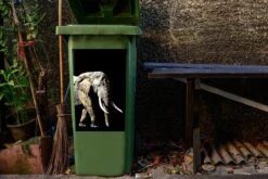 Sticker Conteneur ElephantIllustrations De Noël - Éléphant Avec Taches Abstraites Sur Fond Noir 13 Sticker Conteneur ElephantIllustrations De Noël - Éléphant Avec Taches Abstraites Sur Fond Noir -Jingle Bells Boutique 1200x800 2150