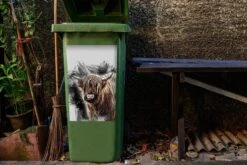 Autocollant De Conteneur Scottish HighlanderIllustrations De Noël - Highlander écossais Sur Un Fond De Dessin Animé 13 Autocollant De Conteneur Scottish HighlanderIllustrations De Noël - Highlander écossais Sur Un Fond De Dessin Animé -Jingle Bells Boutique 1200x800 2155