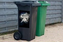 Sticker Conteneur ÉléphantIllustrations De Noël - Éléphant Dans Un Brouillard Coloré Sur Fond Noir -Jingle Bells Boutique 1200x800 2232