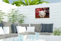Décoration De Jardin Un Chinchilla Witte Porte Un Chapeau De Noël - 40x30 Cm - Toile De Jardin - Poster Extérieur -Jingle Bells Boutique 1200x800 2332