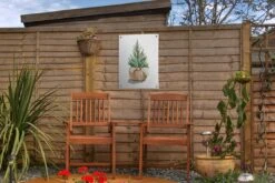 Illustration Aquarelle D'un Sapin De Noël Dans Un Panier 30x40 Cm - Petit 12 Illustration Aquarelle D'un Sapin De Noël Dans Un Panier 30x40 Cm - Petit -Jingle Bells Boutique 1200x800 2334