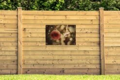 Un Gros Plan De Décoration De Noël Décorative à Côté D'un Poster De Jardin D'arbre De Noël 90x60 Cm - Toile De Jardin / Toile D'extérieur / Peintures D'extérieur (décoration De Jardin) 14 Un Gros Plan De Décoration De Noël Décorative à Côté D'un Poster De Jardin D'arbre De Noël 90x60 Cm - Toile De Jardin / Toile D'extérieur / Peintures D'extérieur (décoration De Jardin) -Jingle Bells Boutique 1200x800 2398