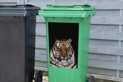 Sticker Conteneur TigreIllustrations De Noël - Tigre Endormi Sur Fond Noir -Jingle Bells Boutique 1200x800 2462