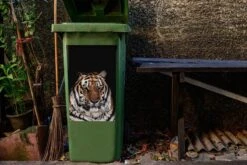 Sticker Conteneur TigreIllustrations De Noël - Tigre Endormi Sur Fond Noir -Jingle Bells Boutique 1200x800 2464