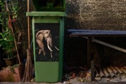 Sticker Conteneur Éléphantillustrations De Noël - Éléphant Botanique Sur Fond Sombre -Jingle Bells Boutique 1200x800 2494