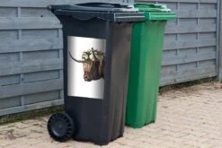 Sticker Conteneur Scottish HighlanderIllustrations De Noël - Highlander écossais Avec Des Fleurs -Jingle Bells Boutique 1200x800 2545