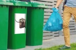 Sticker Conteneur Scottish HighlanderIllustrations De Noël - Highlander écossais Avec Des Fleurs -Jingle Bells Boutique 1200x800 2547