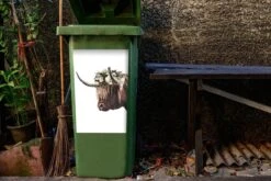 Sticker Conteneur Scottish HighlanderIllustrations De Noël - Highlander écossais Avec Des Fleurs -Jingle Bells Boutique 1200x800 2548