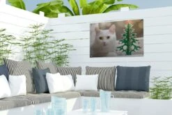 Décoration De Jardin Chat Witte Allongé à Côté D'un Sapin De Noël En Papier - 60x40 Cm - Poster Jardin - Toile Jardin - Poster Extérieur -Jingle Bells Boutique 1200x800 2581