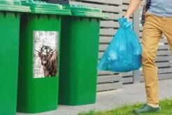 Sticker Conteneur Scottish HighlanderIllustrations De Noël - Highlander écossais Avec Une Couronne De Fleurs -Jingle Bells Boutique 1200x800 2590