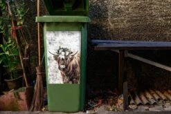 Sticker Conteneur Scottish HighlanderIllustrations De Noël - Highlander écossais Avec Une Couronne De Fleurs -Jingle Bells Boutique 1200x800 2591