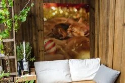 Affiche Jardin - Toile Posters De Jardin Extérieur - Chatons Endormis Et Maman Chat Entre Les Décorations De Noël - 90x120 Cm - Jardin -Jingle Bells Boutique 1200x800 2638