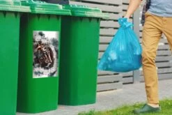 Sticker Conteneur TigreIllustrations De Noël - Tête De Tigre Sur Fond De Journaux -Jingle Bells Boutique 1200x800 2652