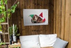 Affiche De Jardin Cavias Déguisée En Elfe Et Père Noël 90x60 Cm - Toile De Jardin / Toile D'extérieur / Peintures D'extérieur (décoration De Jardin) -Jingle Bells Boutique 1200x800 2665