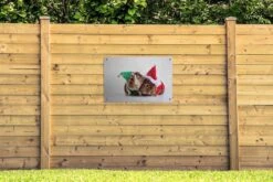 Affiche De Jardin Cavias Déguisée En Elfe Et Père Noël 90x60 Cm - Toile De Jardin / Toile D'extérieur / Peintures D'extérieur (décoration De Jardin) -Jingle Bells Boutique 1200x800 2666