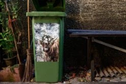 Sticker Conteneur Scottish HighlanderIllustrations De Noël - Highlander écossais Avec Des Fleurs Sur La Tête -Jingle Bells Boutique 1200x800 708