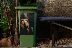 Sticker Conteneur ÉléphantIllustrations De Noël - Éléphant Avec Perroquet Dans La Forêt -Jingle Bells Boutique 1200x800 806