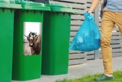 Sticker Conteneur Scottish HighlanderIllustrations De Noël - Highlander écossais Dans Un Pré -Jingle Bells Boutique 1200x800 835