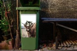 Sticker Conteneur Scottish HighlanderIllustrations De Noël - Highlander écossais Dans Un Pré -Jingle Bells Boutique 1200x800 836