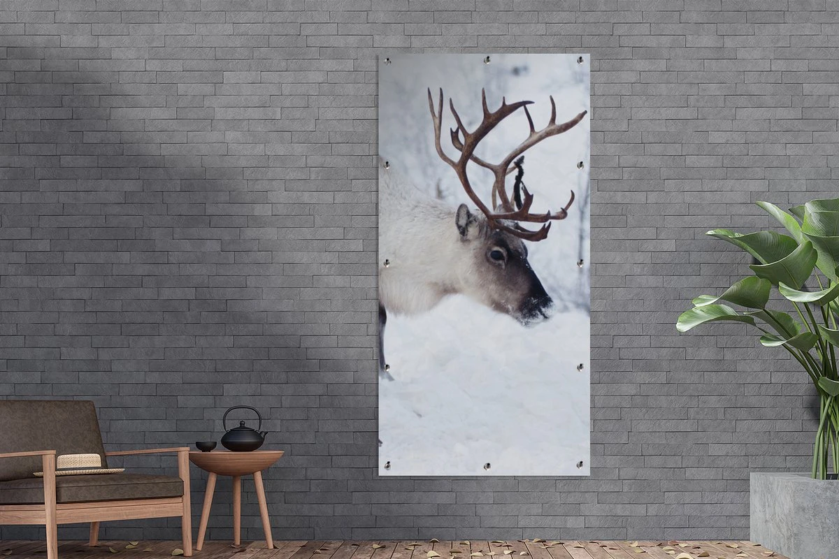 Décoration Murale Murale D'extérieur Une Photo De Noël De Rennes Sur Les Routes Du Kilpisjarvi Finlandais - 80x160 Cm 7 Décoration Murale Murale D'extérieur Une Photo De Noël De Rennes Sur Les Routes Du Kilpisjarvi Finlandais - 80x160 Cm – Image 5