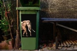 Sticker Conteneur ÉléphantIllustrations De Noël - Éléphant Aux Longues Dents De Serpent Sur Fond Noir -Jingle Bells Boutique 1200x800 995