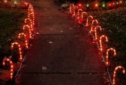 Candy Cane Éclairage De Noël - 10 Candy Canes - Y Compris Les épingles Au Chevilles De Sol 10 Candy Cane Éclairage De Noël - 10 Candy Canes - Y Compris Les épingles Au Chevilles De Sol -Jingle Bells Boutique 1200x813