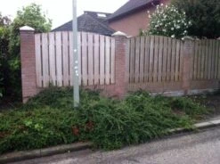 Biomix ATM 5 Litres Contre Les Algues Sur Base Biologique - Convient à Diverse Applications - Cadeau De Noël - Black Friday -Jingle Bells Boutique 1200x896