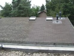 Biomix ATM 5 Litres Contre Les Algues Sur Base Biologique - Convient à Diverse Applications - Cadeau De Noël - Black Friday -Jingle Bells Boutique 1200x900 2