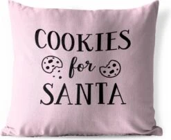 Coussins D'extérieur - Jardin - Citation Biscuits Pour Père Noël Décoration Murale Noël Rose Pastel - 50x50 Cm