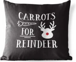 Coussins D'extérieur - Jardin - Citation Carottes Pour Renne Décoration Murale Noël Noir - 50x50 Cm