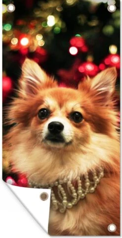 Poster De Jardin Chien Pendant Noël - 40x80 Cm - Décoration Murale Outdoor - Poster De Jardin - Toile Jardin - Poster Clôture - Tableau Jardin -Jingle Bells Boutique 616x1200 7