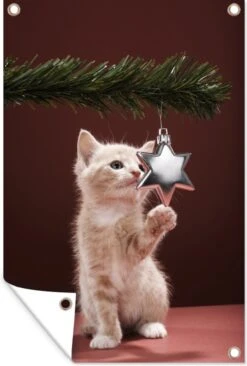 Chaton Touchant Affiche De Jardin De Boule De Noël Toile En Vrac 80x120 Cm - Toile De Jardin / Toile D'extérieur / Peintures Pour L'extérieur (décoration De Jardin)