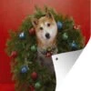 Shiba Chien Avec Une Guirlande De Noël Affiche De Jardin Toile En Vrac 30x40 Cm - Petit - Toile De Jardin / Toile D'extérieur / Peintures Pour L'extérieur (décoration De Jardin) -Jingle Bells Boutique 898x1200 6