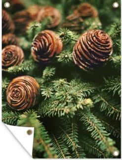 Un Gros Plan De Pommes De Pin Près Du Sapin De Noël Affiche De Jardin 30x40 Cm - Petit - Toile De Jardin / Toile D'extérieur / Peintures Pour L'extérieur (décoration De Jardin) -Jingle Bells Boutique 912x1200 9