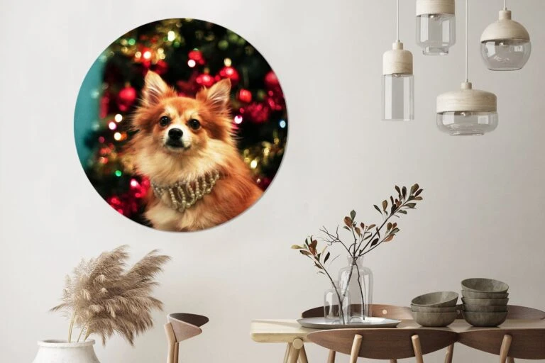 Jingle Bells Boutique 20 Jingle Bells Boutique -Jingle Bells Boutique 1200x800 587 768x512 1